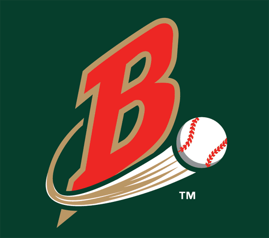 Buffalo Bisons 2004-2008 Cap Logo iron on transfers for T-shirts